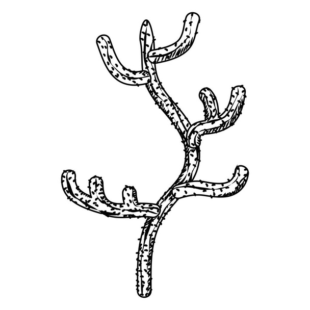 Linie Ökologie und Natur Wüste Kaktus Pflanzenvektor Illustration - Vektor, Bild