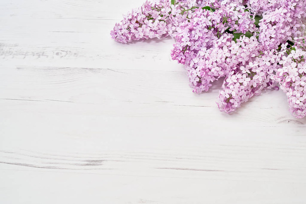 Lilac flowers border on white background. Top view, copy space. Spring background. Greeting card. Holidy concept. Mothers Day, Valentines Day, Birthday concept. - Photo, Image
