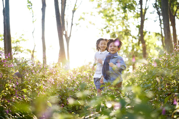 two little asian children boy and girl running through field of flowers in park. - Valokuva, kuva