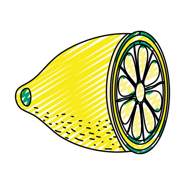 Doodle köstliche Scheibe Zitrone Bio-Fruchtvektor Illustration - Vektor, Bild