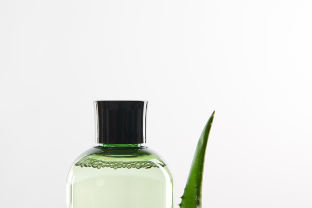 botella cosmética transparente y hoja de aloe vera sobre fondo blanco
 - Foto, Imagen