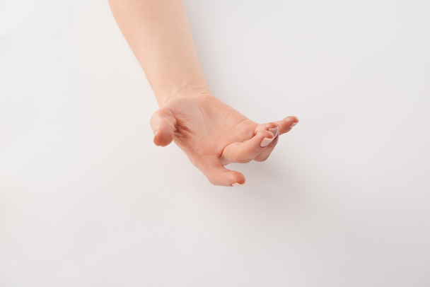 Partial view of female well-cared open hand on white background  - Photo, Image