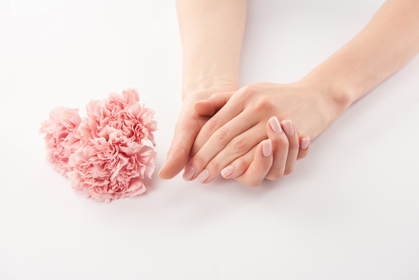 Partial view of female hands and carnations flowers on white background - Foto, imagen