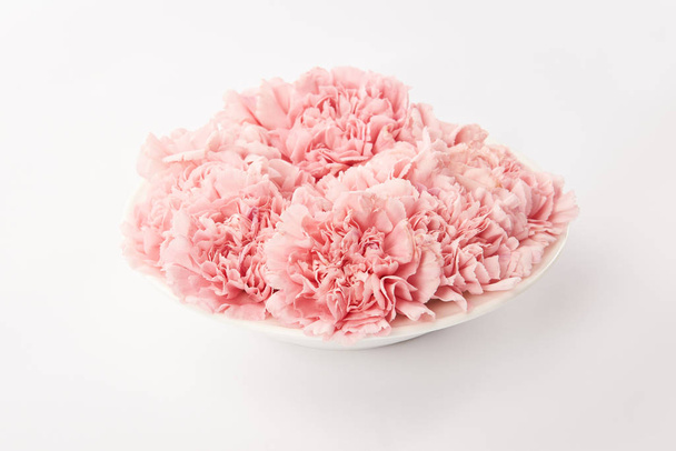 白い背景の丸皿にピンクのカーネーションの花 - 写真・画像