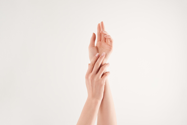 Vista parcial de manos femeninas bien cuidadas sobre fondo blanco
 - Foto, Imagen