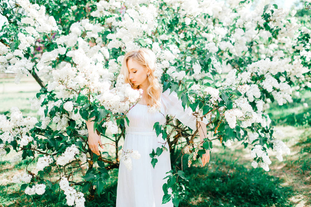 Young beautiful woman in white dress posing in spring blooming garden - Valokuva, kuva