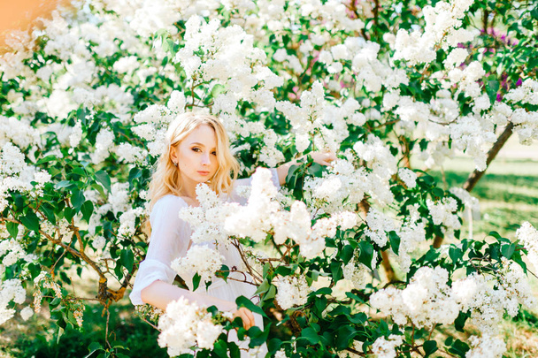 Young beautiful woman in white dress posing in spring blooming garden - Zdjęcie, obraz