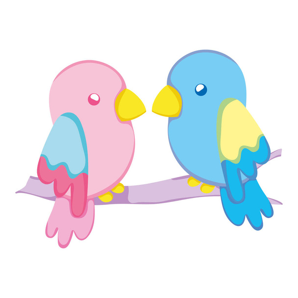 belleza loro pareja pájaro animal vector ilustración
 - Vector, Imagen