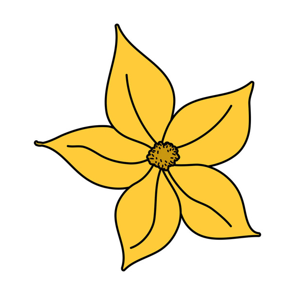 color exotic flower with tropical petals style vector illustration - Διάνυσμα, εικόνα