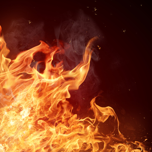 Fire flames background - Photo, Image