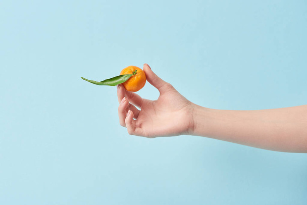 cropped view of woman holding tangerine with green leaf in hand isolated on blue  - Photo, Image