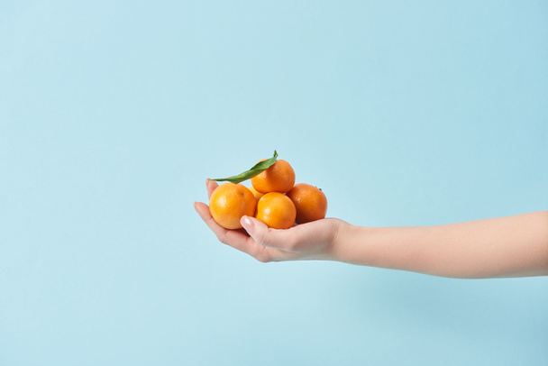 bijgesneden beeld van vrouw met organische mandarijnen girosaldi geïsoleerd op blauw  - Foto, afbeelding