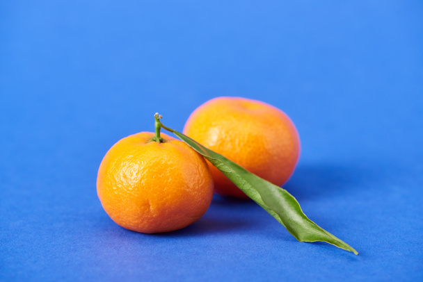 juicy organic tangerines with zest on blue background  - Fotó, kép