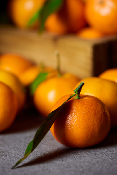 selectieve aandacht van Oranje clementine in de buurt van mandarijnen met groene bladeren - Foto, afbeelding