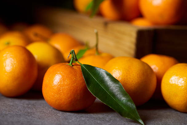 selective focus of organic clementine near tangerines with green leaves - Foto, afbeelding