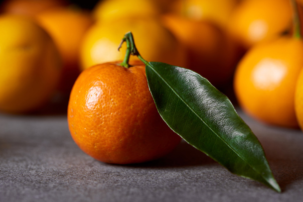 selective focus of sweet orange clementine with green leaf near tangerines - Фото, изображение
