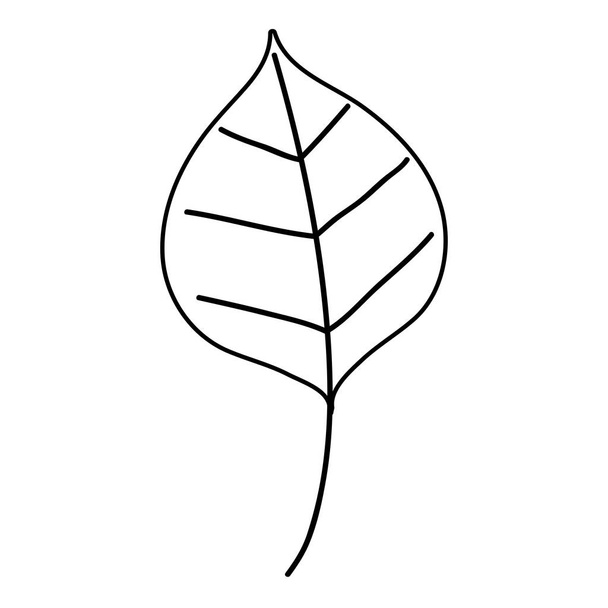 лінія гарний стиль листя природи рослини Векторні ілюстрації
 - Вектор, зображення