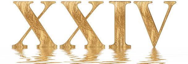 Romeinse cijfers Xxiv, quattuor et viginti, 24, vierentwintig, weerspiegeld op het wateroppervlak, geïsoleerd op wit, 3d render - Foto, afbeelding