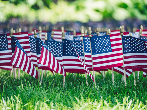 American Memorial Day no parque
 - Foto, Imagem