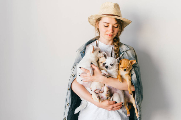 young woman in straw hat and denim jacket holding chihuahua puppies - Foto, Bild