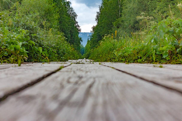 Wooden health trail in the mountain in the midst of green forests. - 写真・画像