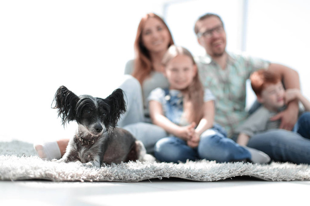 background image of happy family with pet - Zdjęcie, obraz