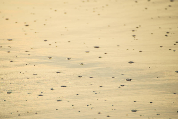 песчаный влажный пляж с отверстиями для серфинга
 - Фото, изображение