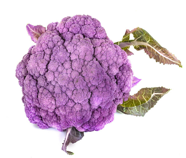 violetti kukkakaali kaali edessä valkoinen tausta
 - Valokuva, kuva