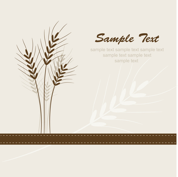 Abstract wheat background, vector - Vetor, Imagem