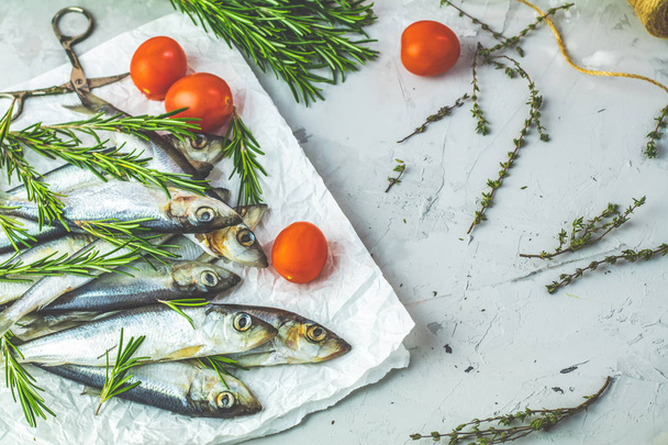 Sardienen of Oostzeeharing met tomaten en rozemarijn op papier op Lichttafel grijze betonnen ondergrond. Rauwe ongekookte zeevis. Kopie spice. - Foto, afbeelding