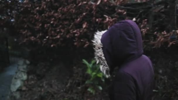 Frau in lila Mantel, die leicht links vom Rahmen einen Hügel hinuntergeht - Filmmaterial, Video