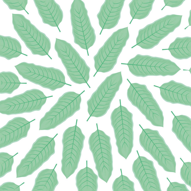 ecología hojas planta patrón
 - Vector, imagen