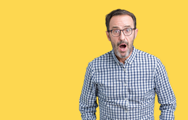 Handsome middle age elegant senior man wearing glasses over isolated background afraid and shocked with surprise expression, fear and excited face. - Photo, Image