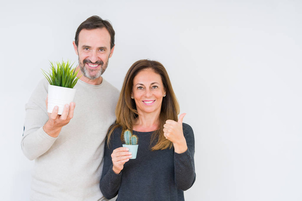 Μέση ηλικία ζευγάρι κρατώντας φυτά πέρα από το απομονωμένο υπόβαθρο ευτυχισμένη με μεγάλο χαμόγελο κάνει εντάξει σημάδι, αντίχειρα επάνω με τα δάχτυλα, καλό σημάδι - Φωτογραφία, εικόνα