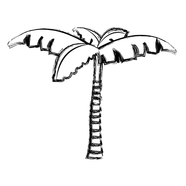 гранж тропической пальмы с естественным дизайном векторной иллюстрации
 - Вектор,изображение