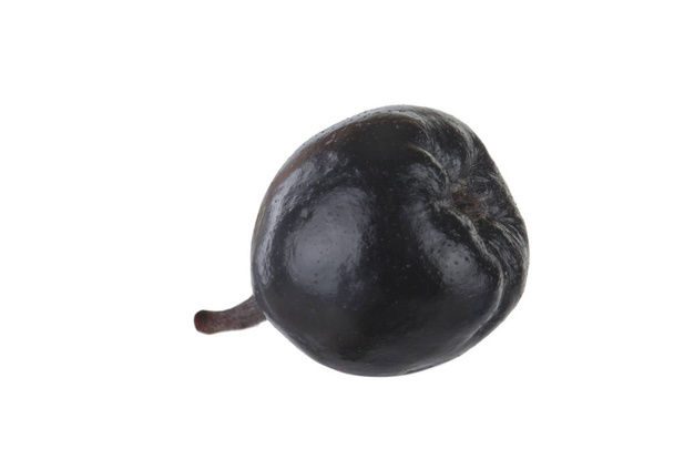 Closeup of ash-berry isolated on white background  - Photo, Image