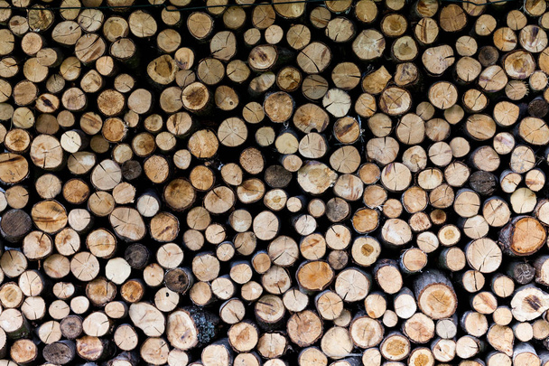 troncos de árvores serradas e galhos em diferentes tamanhos, empilhados em recipiente azul Indústria de armazenamento de madeira. Antecedentes de troncos de lenha cortados secos empilhados uns em cima dos outros em uma pilha
 - Foto, Imagem