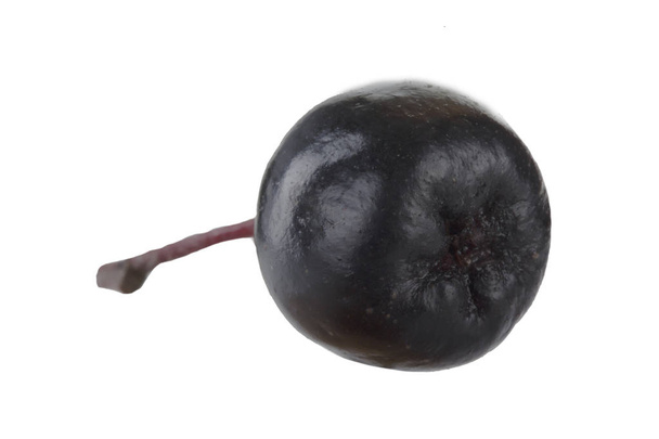 Closeup of ash-berry isolated on white background  - Valokuva, kuva