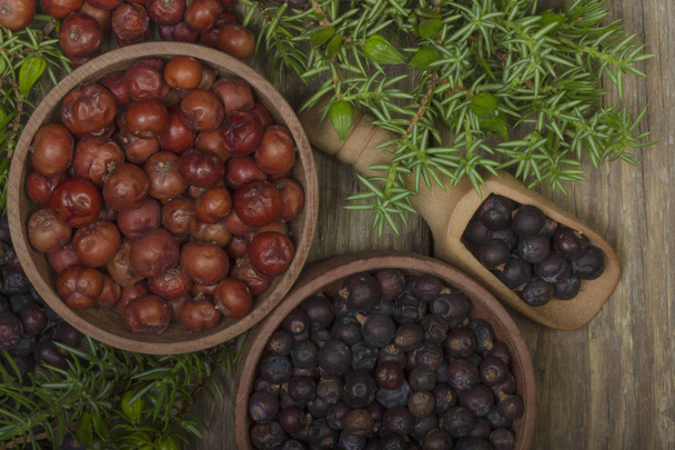Closeup of assorted berries and herbs on wooden background - Zdjęcie, obraz