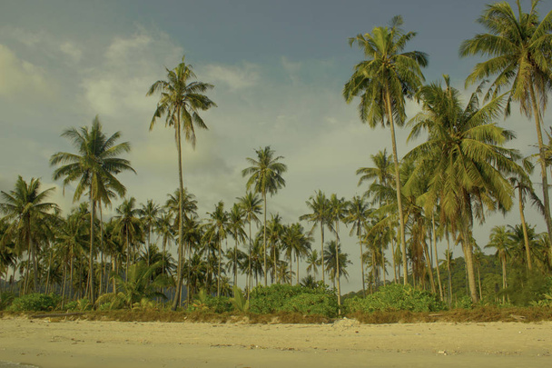Tropical seascape background, travel concept. - Foto, imagen