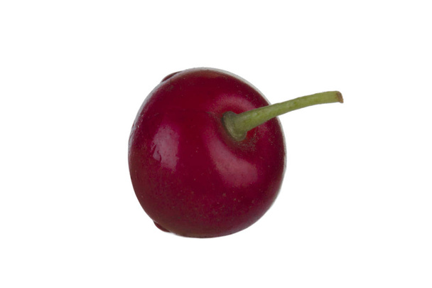 Closeup of bird cherry, food background - Foto, imagen