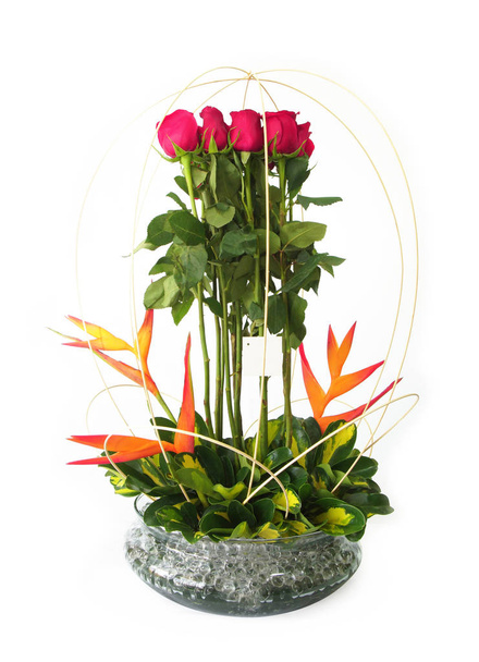 Układ kwiatowy prezent wykonany z czerwonych róż z długich łodygach wewnątrz garnka szkło na białym tle - Zdjęcie, obraz