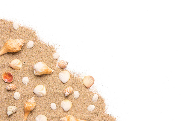 Sand and sea shells beach theme background with copy space - Valokuva, kuva