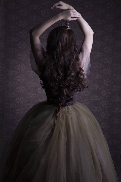 茶色のチュールとベルベットのドレスの妖精のプリンセス - 写真・画像