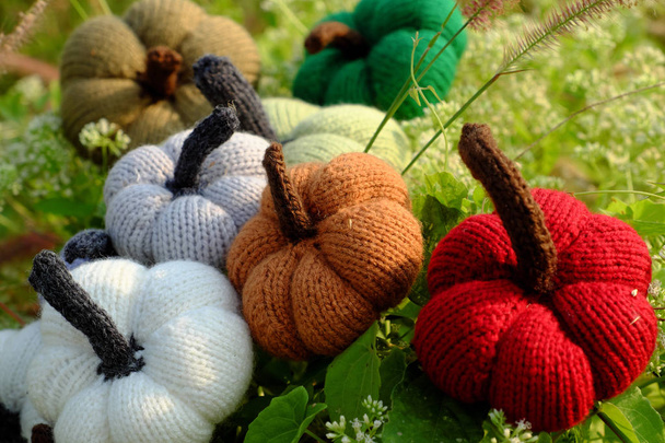 Group of colorful pumpkins in garden, grass land with tiny flowers in white, handmade products for leisure activities by knit from yarn - Photo, Image