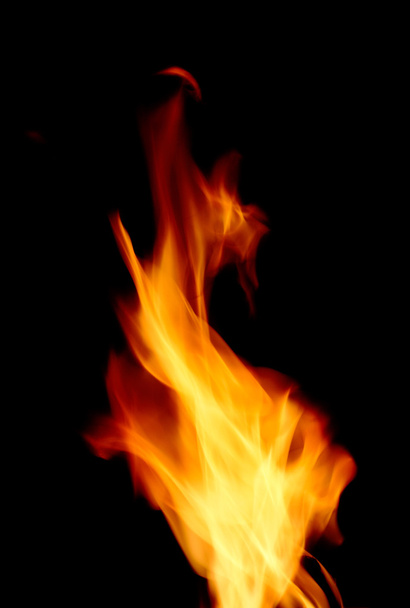 flame - Photo, Image