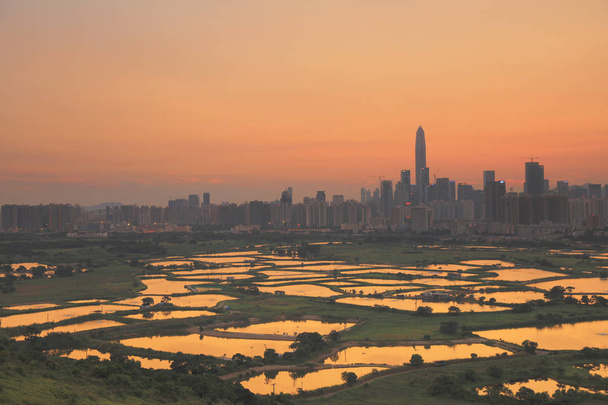 HK kırsal günbatımı, pirinç alan modern ofis binaları - Fotoğraf, Görsel
