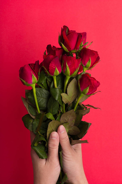Girl hand hodling red rose on red background - Фото, изображение