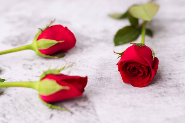 Red rose on white background - Valentine day or Wedding concept - Foto, imagen