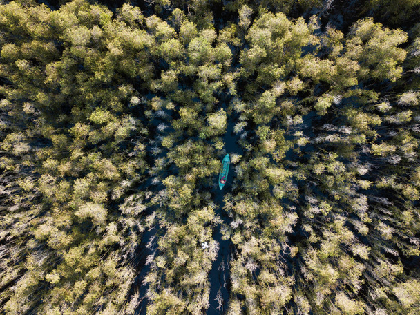 ベトナム南部のメコン ・ デルタ、メラルーカの木の森で木製ボートの空撮。ドローン (flycam で撮影). - 写真・画像